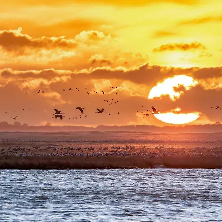 Apartmán Strandgut Mit Seeblick-komfort, Terrasse Und Garten In Perfekter Lage *